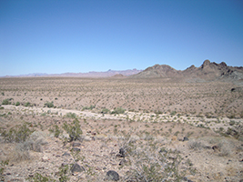 Side Trip to Oatman